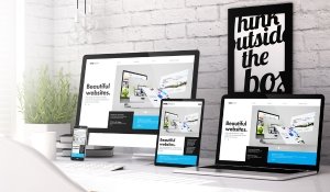 Home 17 Website Development 1